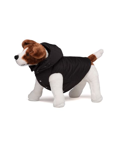 dog prada|Prada dog coat accessories.